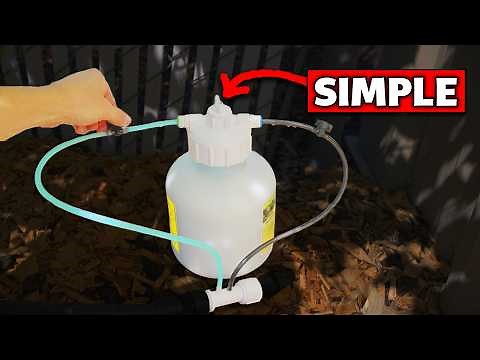 The Easiest Way to Automatically Fertilize Your Garden (No Effort)