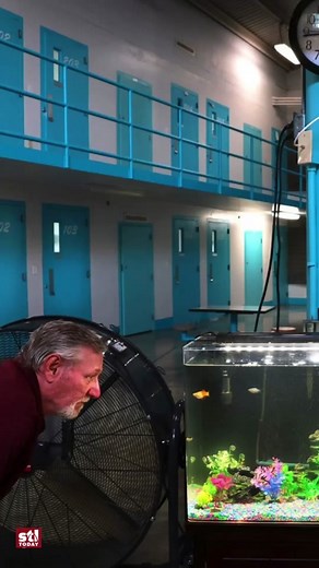 The Dynamo program at Northeast Correctional Center is based off a prison model in Norway that prioritizes reintegration to society. There, being pulled out of society is punishment enough. Prison is the place to rebuild and prepare for reentering society. “That is so not how American prisons are structured,” said Alia Nahra, a law and doctoral student at Columbia University who has studied incarceration in the U.S. and abroad. She said U.S. prison officials have taken more interest in touring N