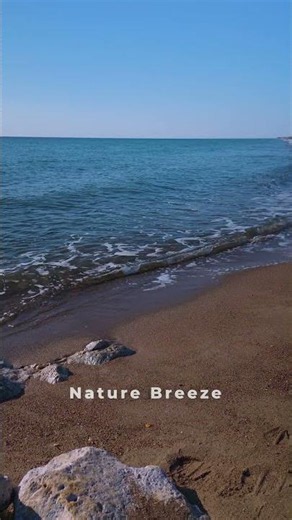 Pure Ocean ASMR 🌊 Real Waves Crashing #oceanasmr #wavescrashing #naturesounds #relaxing #shorts