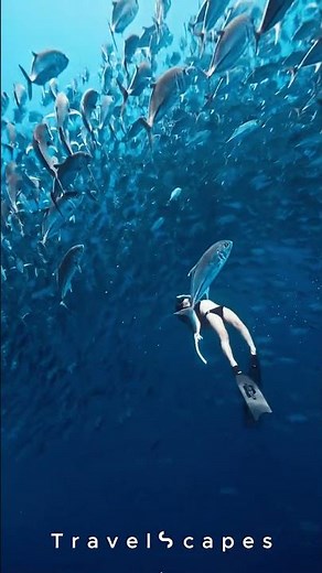 Her Hair Floats Like Silk Underwater 😍 | Freediving Goddess in Bohol, Philippines