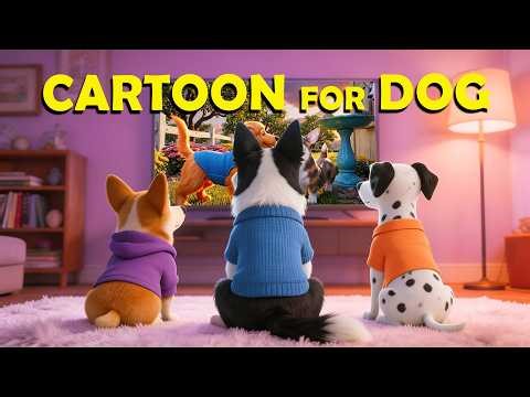 Cartoons for Dogs to Watch: in Color They Can See! 🐶📺Anti - Anxiety & Prevent Boredom 💤
