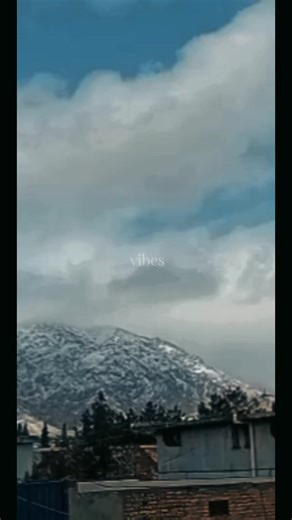 Snowy Scenes: Embrace the Winter Vibes