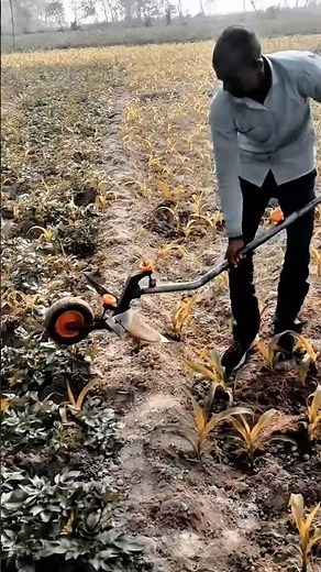 Weeding Tool Manual Work Tool for Row Crop Soil Cultivation #worktool