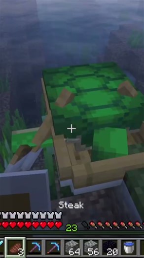 I think his house looks a little weird with this mod... #minecraft #gaming #mod #turtle #boat #house