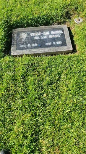 He was last of the Three Stooges #threestooges #famousgraves #hollywood | Lamont At Large
