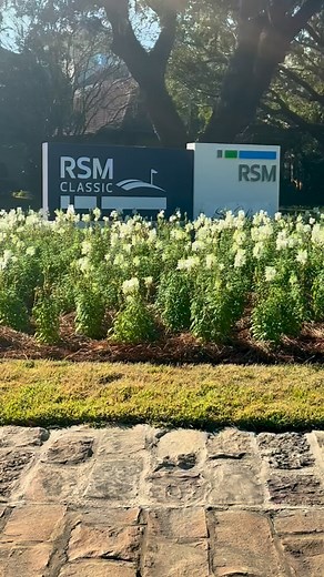 Amazing day for the final round of the 2025 PGA TOUR Season! Favorite place on TOUR! #pgatour #rsmclassic #seaisland #golf #fyp | Matt Hubbard