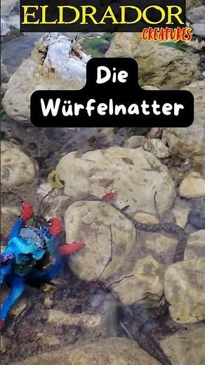 Schleich Eldrador 🐍 The Dice Snake - a water snake 🐍 #schleich #eldrador #nature