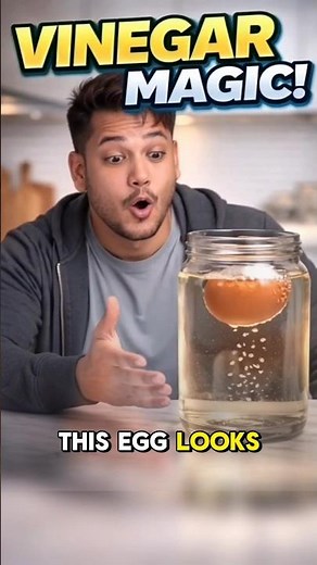 Rubber Egg Experiment with Vinegar 😳 | Real Science