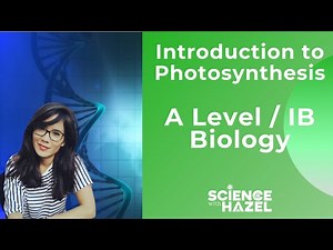 Introduction To Photosynthesis | A level & IB Biology