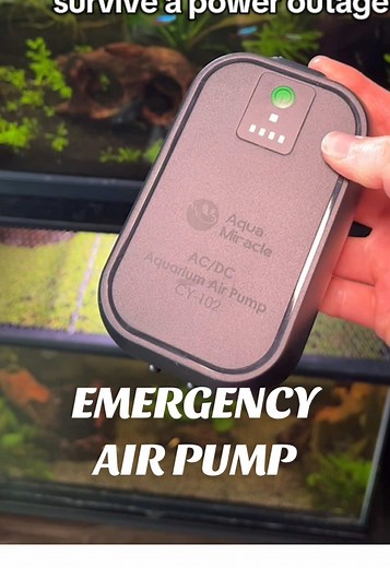 Essential Rechargeable Air Pump for Fish Tanks in Florida