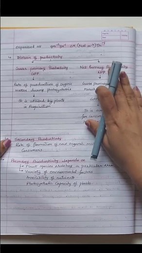 Productivity / Ecosystem class 12 handwriten notes