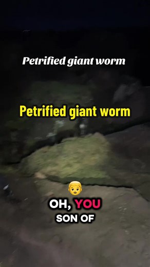 Mysterious Petrified Giant Worm Discovered