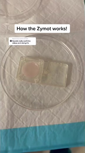 TikTok - Make Your Day