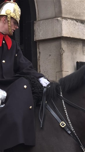move outside the line #horseguardsparade #britisharmy #kingsguard #tourist #history #highlights