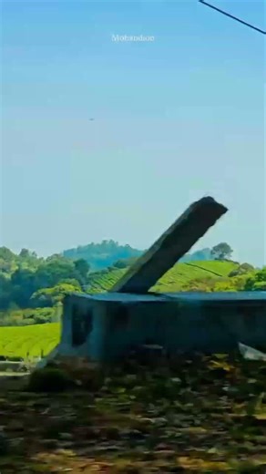 #90s #80s #70s#90sgirl #tamillovesongs#sbphits #parthibanhits #love #trending #subscribe #nature