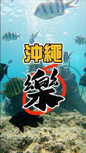 【🇯🇵沖繩-樂篇🤿】青之洞窟潛水#沖繩 #日本旅行 #沖繩自由行 #日本自由行 #景點 #青洞 #青之洞窟 #潛水 #浮潛