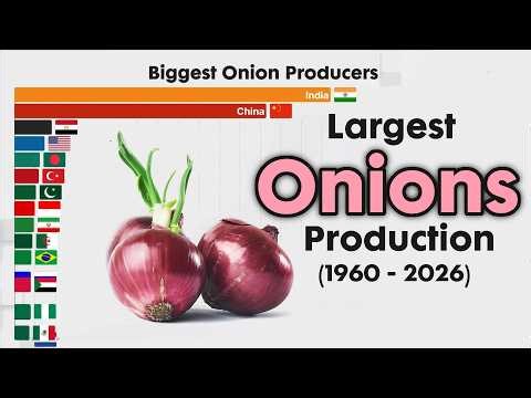 Top 15 Onion Producers in the world from 1960 - 2026