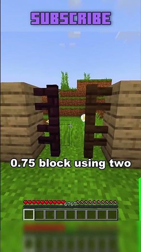 How wide is minecraft character