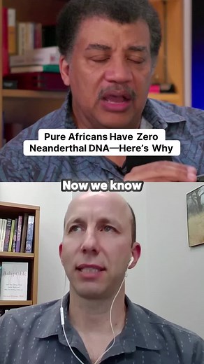 Exploring Neanderthal Genetics and Human Evolution