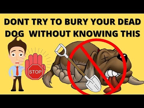 proper method for dead dog home burial | tony dog pedia| pet burial
