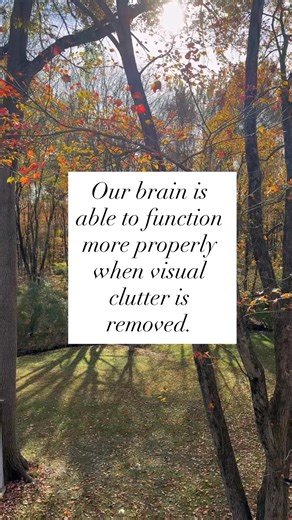 Visual clutter causes anxiety in the brain. #clutter #declutter #CalmMind | Clutter Busters of Chester County