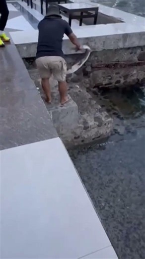 untung aja gak kena kepala #viral #funny