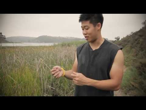 Superband Insect Repelling Wristband Review