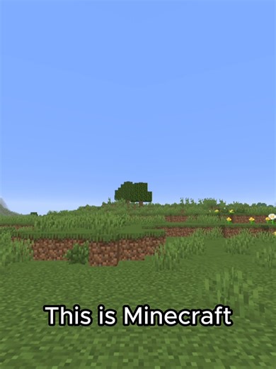 Minecraft, But Chunks Are Random... #minecraft #trending #meme #tiktok #forthoeswhoknow #gaming #bedwars #foryou #fyp