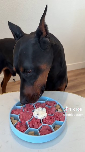 Delicious Homemade Dog Food Recipe for Your Doberman
