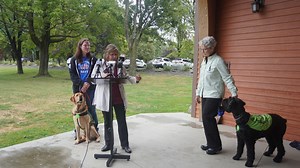 Free Service Dog Education Program now available to Broome County businesses. What to know