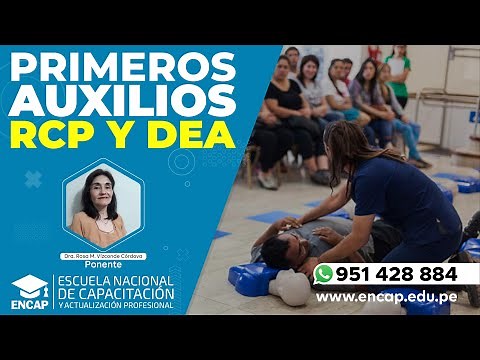 CURSO: PRIMEROS AUXILIOS RCP Y DEA - 2025