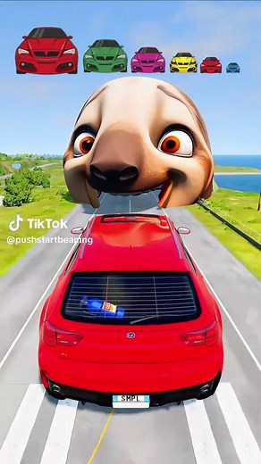 Car Showdown: Big & Small vs Flash Slothmore