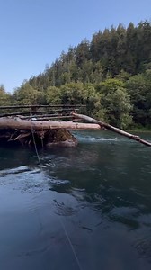 I love being homeless it’s bad #willsurvives | Will Survives