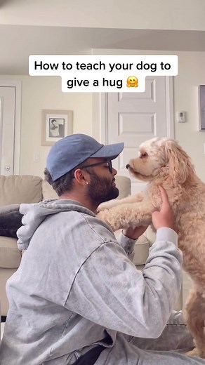 How to teach your dog the basics to giving you a hug 🤗🐶 #dogtraining #dogs #blowup