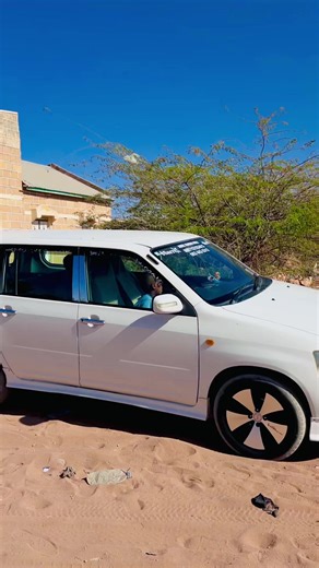 Caroos Tamaka: Creative Car Decoration Ideas