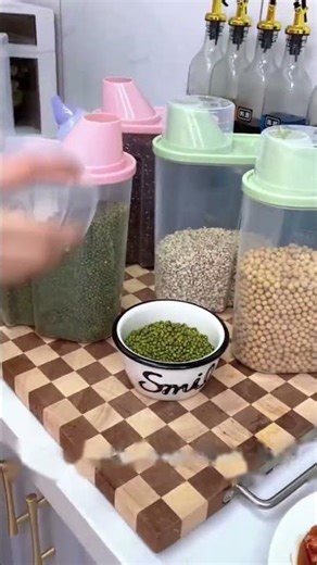 Plastic Storage Containers with Airtight Lid