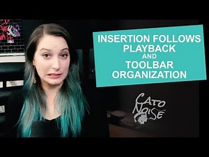 Essential Pro Tools Settings: Insertion Follows Playback & Toolbar Organization