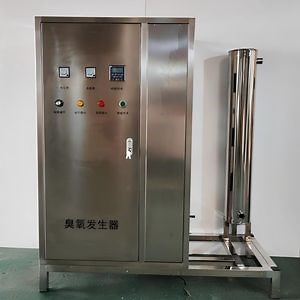 [Hot Item] Commercial-Grade Ozone Generator for Large-Scale Swimming Pool Sanitization Systems