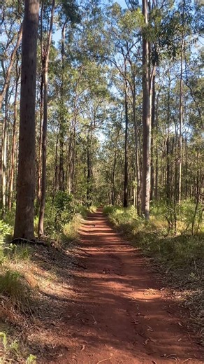 Daisy Hill bush walk