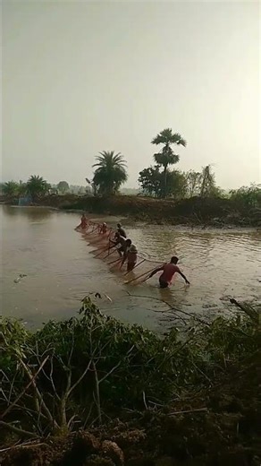 Trending on ❤🔥🔥#Village fishing#hunting #fish #ytshorts #gajendra