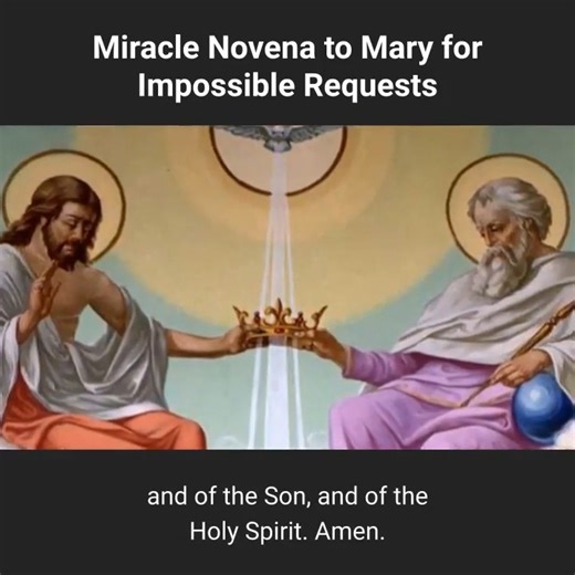 11K views · 277 reactions | Miracle Novena to Mary for Impossible Requests | Proudly Catholic | Facebook