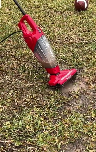 Dirt devil destruction short