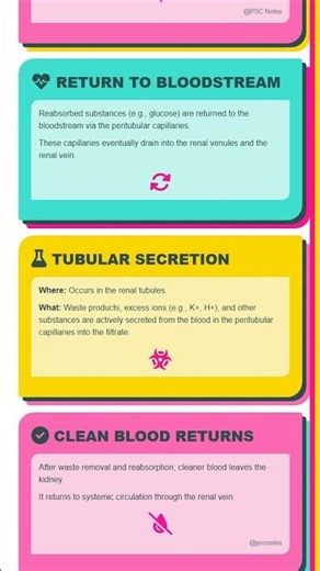 Mechanism of Urine Formation: Selective Reabsorption in Renal Tubules