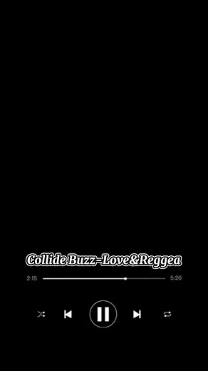 Collie Buddz Reggae Love Songs