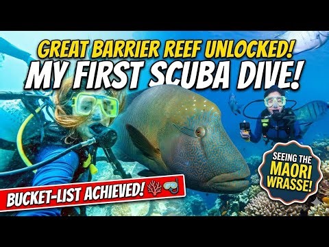 I Dived the Great Barrier Reef! 🪸 My First Scuba Diving Experience in Australia 🇦🇺
