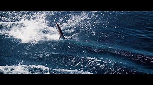 78K views · 162 reactions | Desgined for performance, but perfect for all day wear, these boardshorts fit any active lifestyle. Technical features like high-stretch and breathability make our boardshorts ready for hot days on the water when the intensity heightens. | Huk Gear | Facebook