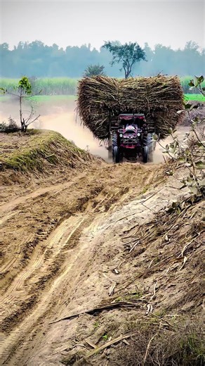 Massey Ferguson 855 Tractor Navigates Muddy Path