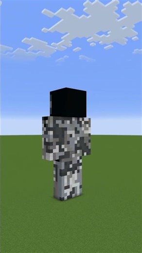 Skin-A-Day: A Daily Minecraft Skin Showcase 3: 2