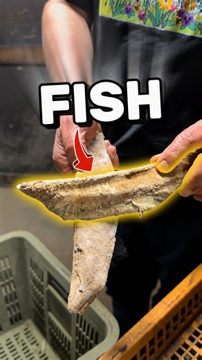 1000 Year Old Process of Fish Drying 🤯