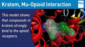 38K views · 472 reactions | FDA releases adverse events and scientific analysis providing even stronger evidence of kratom compounds’ opioid properties. https://go.usa.gov/xns44 | U.S. Food and Drug Administration | Facebook